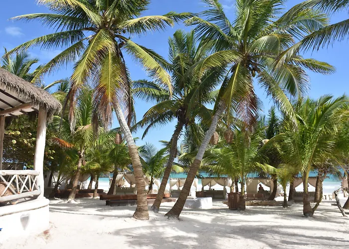 Alquimia Boutique 4* Tulum