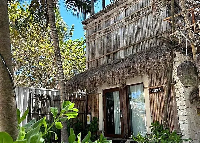 Hotel Alquimia Boutique Tulum